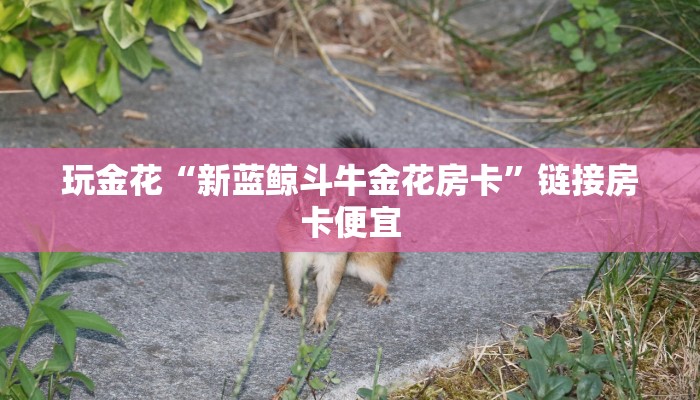 房卡秒懂“链接牛牛金花房卡卖家”房卡链接获取