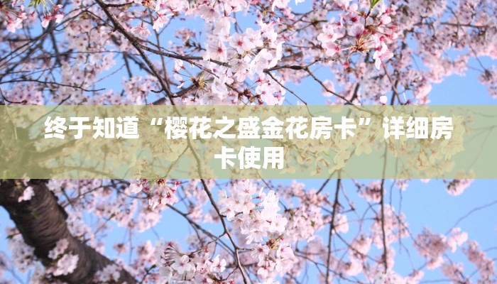玩家技巧“钱潮十三水真的有挂”分享用挂教程 玩家技巧“钱潮十三水真的有挂”分享用挂教程