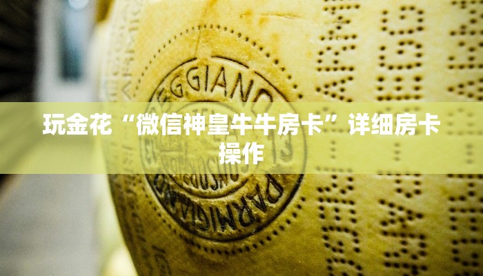 辅助技巧“德扑之星辅助开挂软件(透视挂)”详细外挂安装步骤
