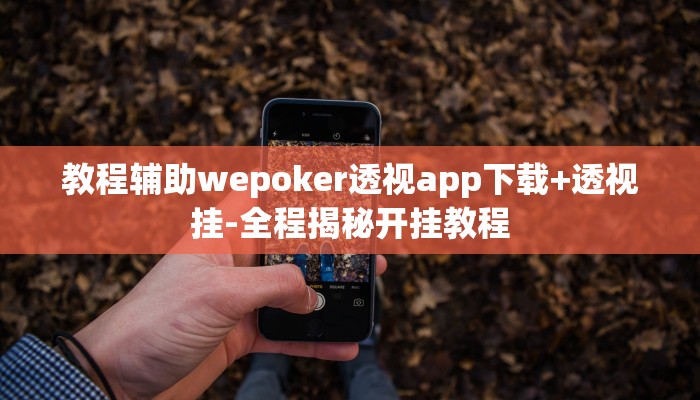 教程辅助wepoker透视app下载+透视挂-全程揭秘开挂教程