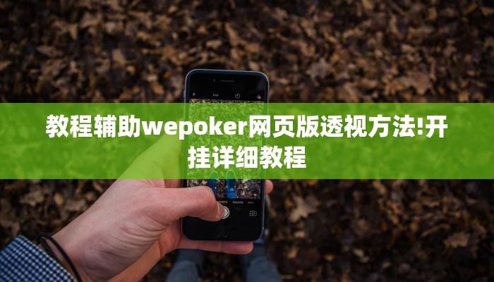 使用分享WePoKer开挂透视辅助详细教程(详细开挂教程