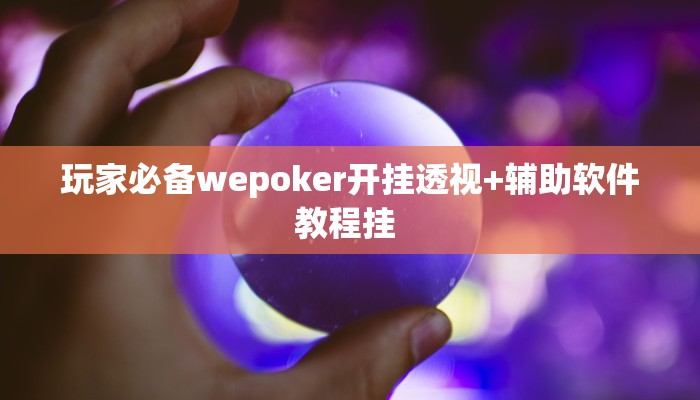 玩家必备wepoker开挂透视+辅助软件教程挂 