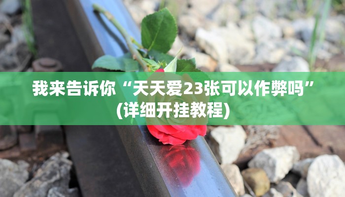 我来告诉你“天天爱23张可以作弊吗”(详细开挂教程)