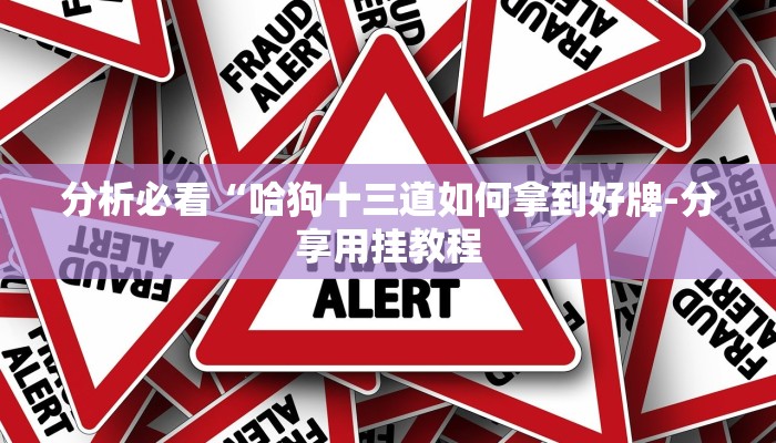 分析必看“哈狗十三道如何拿到好牌-分享用挂教程