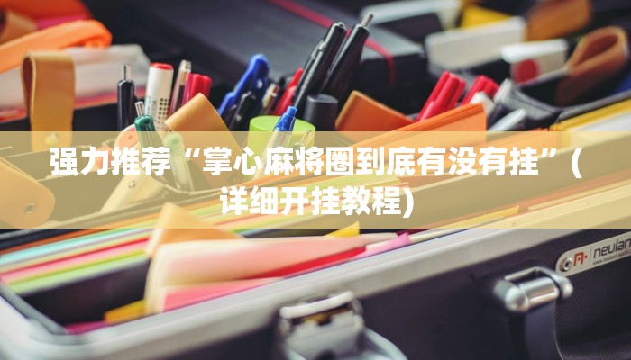 辅助神器wepoker辅助透视(详细开挂教程