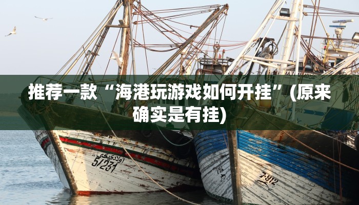 推荐一款“海港玩游戏如何开挂”(原来确实是有挂)