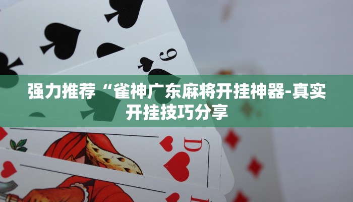万能开挂辅助“HHpoker透视底牌软件+作弊透视 +透视辅助