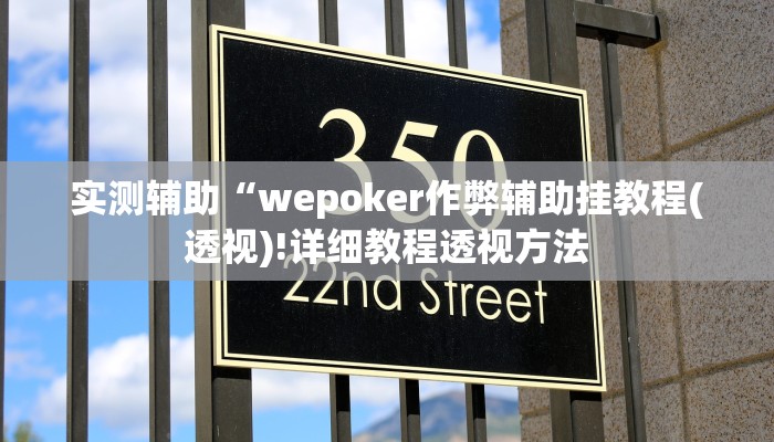 实测辅助“wepoker作弊辅助挂教程(透视)!详细教程透视方法