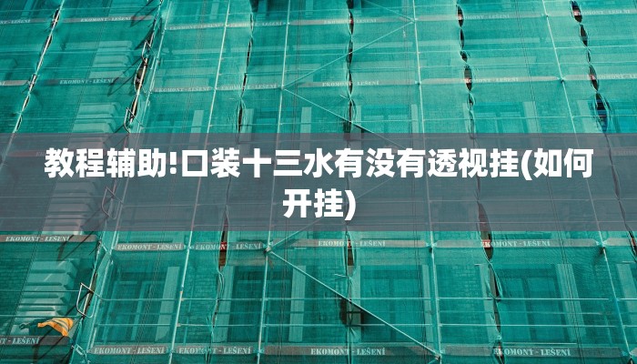 必看教程“wepoker轻量版外挂辅助插件”详细开挂教程