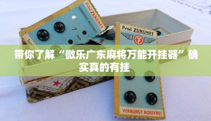 带你了解“微乐广东麻将万能开挂器”确实真的有挂 
