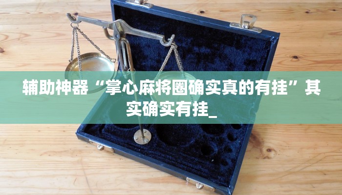 使用分享WePoker作弊视频详细开挂教程