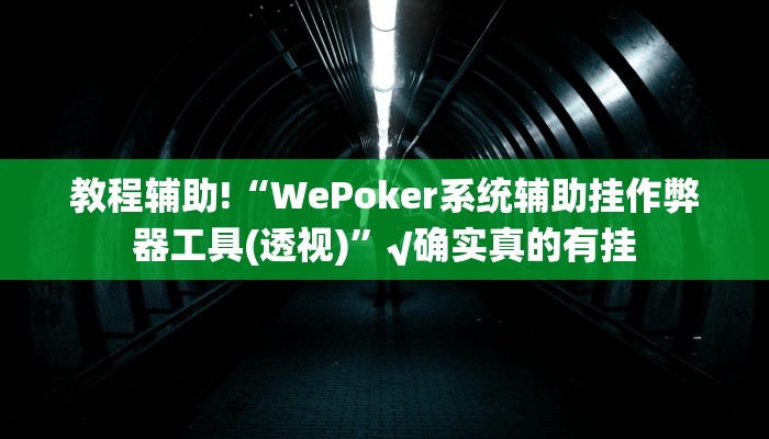 三分钟科普wepoker透视辅助教程(透视)详细教程
