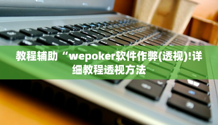 教程辅助“wepoker软件作弊(透视)!详细教程透视方法