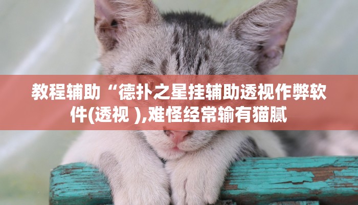 教程辅助“德扑之星挂辅助透视作弊软件(透视 ),难怪经常输有猫腻