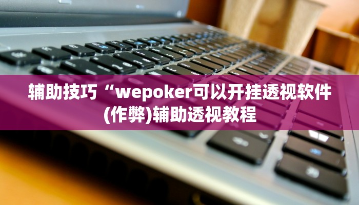 辅助神器wepoker作弊透视(透视)功能”学会包赢