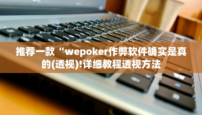辅助神器wepoker德州透视(作弊)”附开挂脚本详细教学