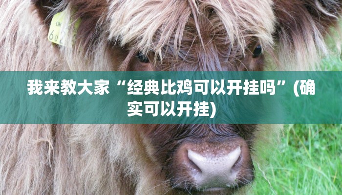 我来教大家“经典比鸡可以开挂吗”(确实可以开挂)
