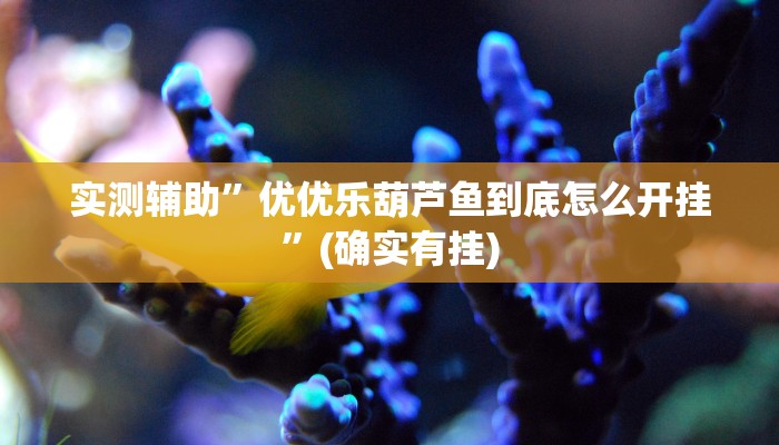 实测辅助”优优乐葫芦鱼到底怎么开挂”(确实有挂)