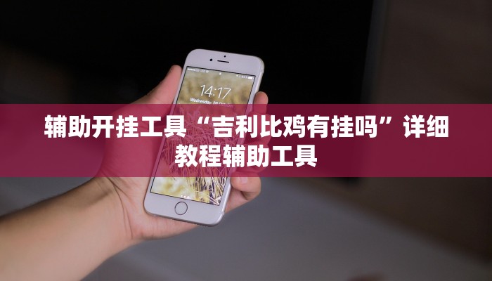 实测辅助wepoker德州局透视挂专用详细开挂教程