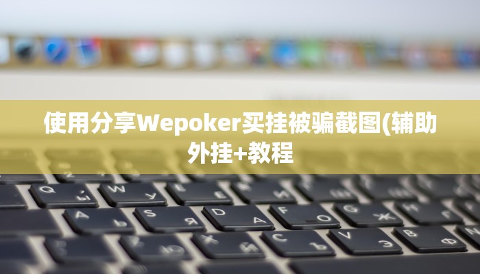 使用分享Wepoker买挂被骗截图(辅助外挂+教程