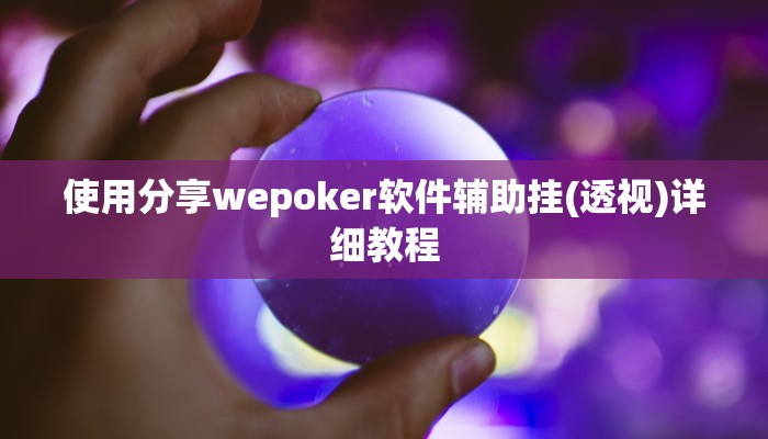使用分享wepoker软件辅助挂(透视)详细教程