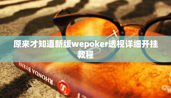 原来才知道wepoker辅助透视挂(作弊)”附开挂脚本详细教学