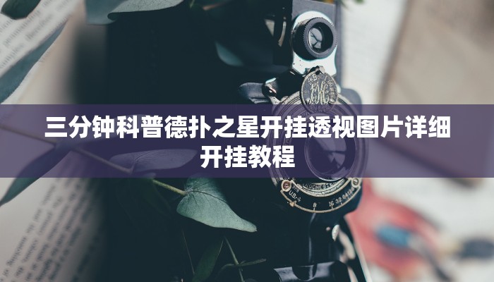 三分钟科普德扑之星开挂透视图片详细开挂教程