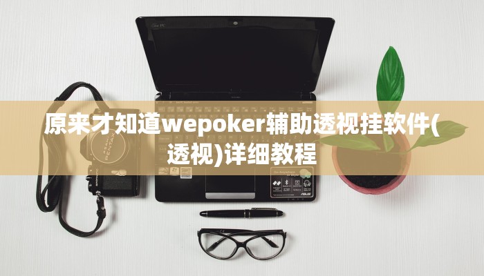 原来才知道wepoker辅助透视挂软件(透视)详细教程