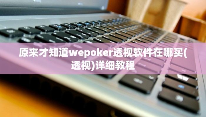 原来才知道wepoker透视软件在哪买(透视)详细教程