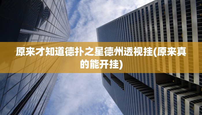 原来才知道德扑之星德州透视挂(原来真的能开挂)