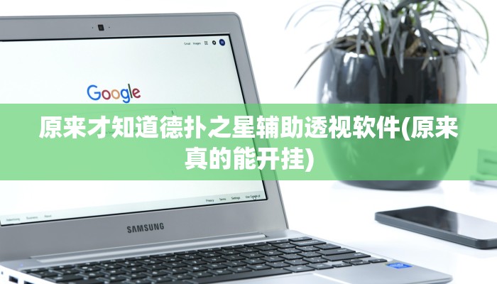原来才知道德扑之星辅助透视软件(原来真的能开挂)