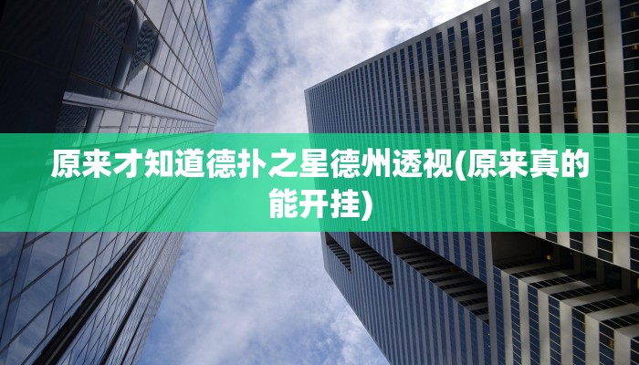 原来才知道德扑之星德州透视(原来真的能开挂)
