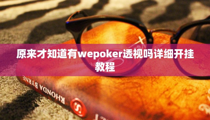 原来才知道有wepoker透视吗详细开挂教程