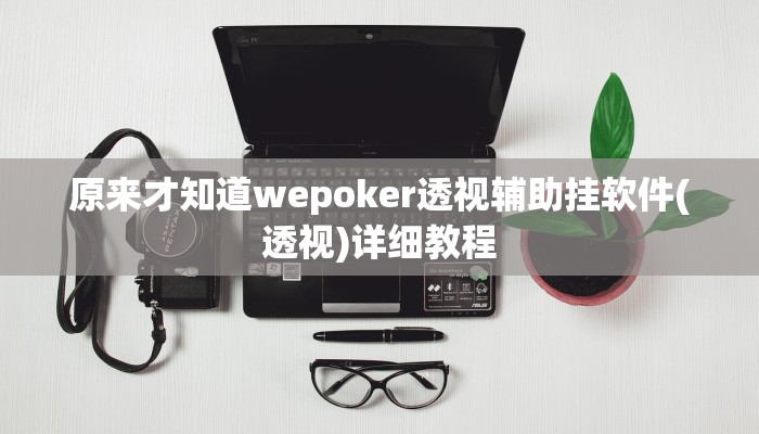 原来才知道wepoker透视辅助挂软件(透视)详细教程