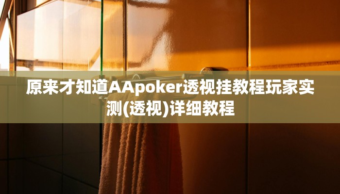 原来才知道AApoker透视挂教程玩家实测(透视)详细教程