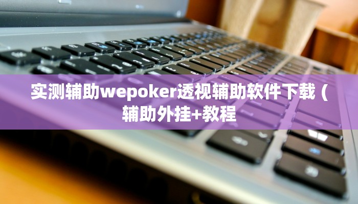 实测辅助wepoker透视辅助软件下载 (辅助外挂+教程