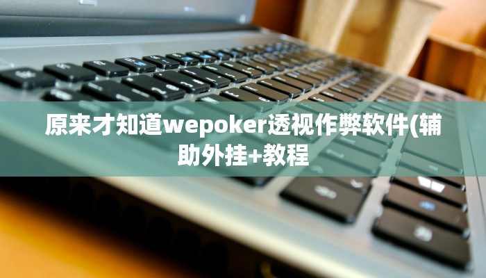原来才知道wepoker透视作弊软件(辅助外挂+教程