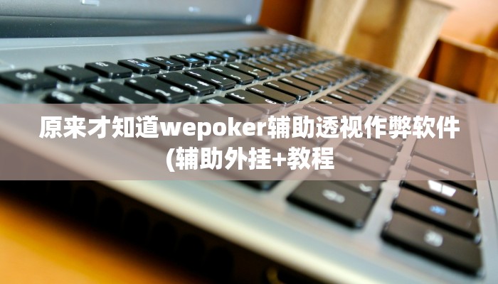 原来才知道wepoker辅助透视作弊软件(辅助外挂+教程