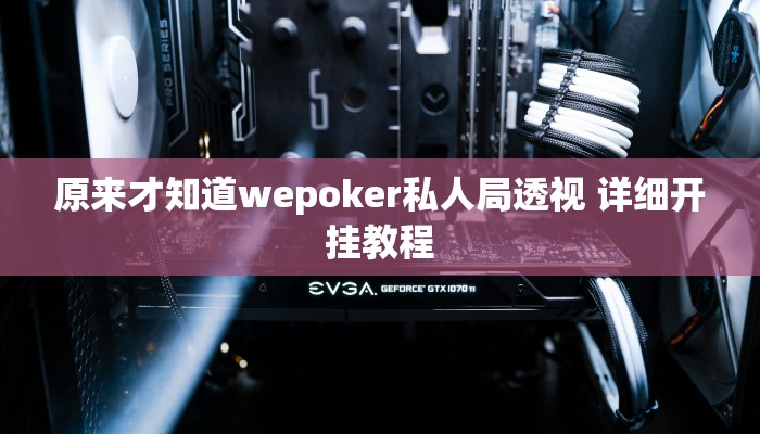 原来才知道wepoker私人局透视 详细开挂教程