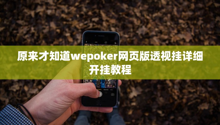 原来才知道wepoker网页版透视挂详细开挂教程