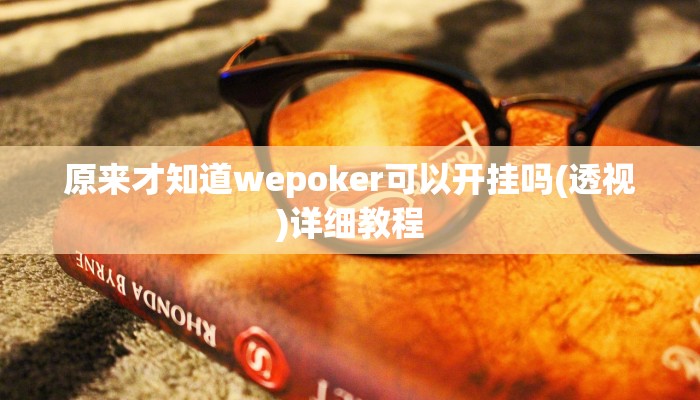 原来才知道wepoker可以开挂吗(透视)详细教程