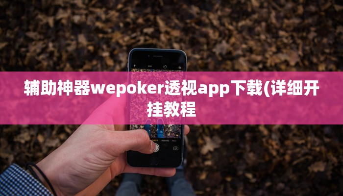 辅助神器wepoker透视app下载(详细开挂教程