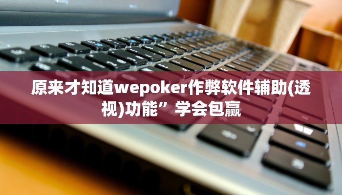原来才知道wepoker作弊软件辅助(透视)功能”学会包赢