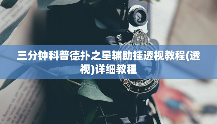 辅助神器德扑之星辅助透视软件(辅助外挂+教程
