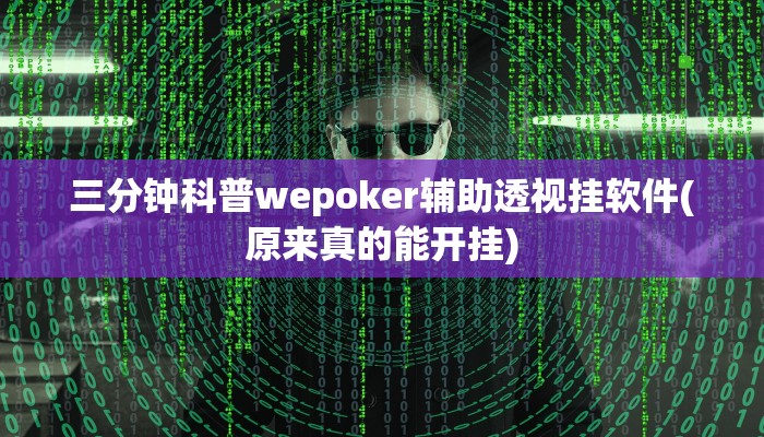 辅助神器wepoker透视挂下载详细开挂教程