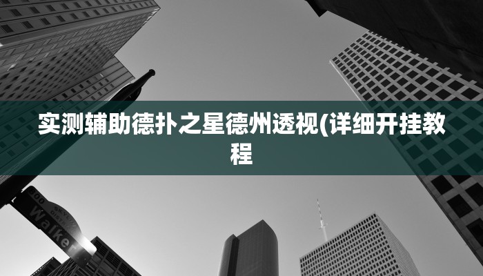实测辅助德扑之星德州透视(详细开挂教程