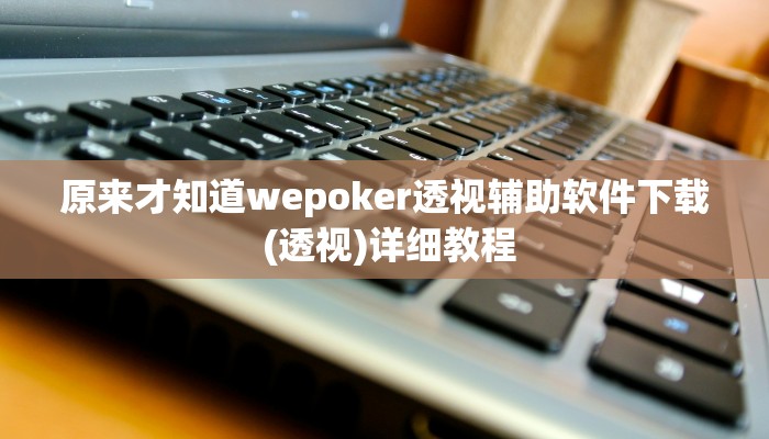 原来才知道wepoker透视辅助软件下载 (透视)详细教程