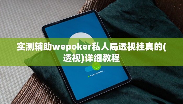 实测辅助wepoker私人局透视挂真的(透视)详细教程