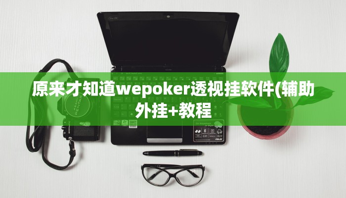原来才知道wepoker透视挂软件(辅助外挂+教程