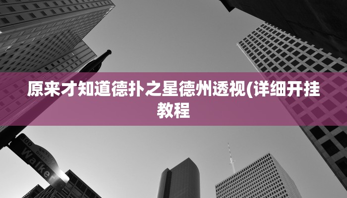 原来才知道德扑之星德州透视(详细开挂教程